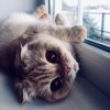 Отзыв пользователя  о Taghosting.ru (TAG.hosting, Тегхостинг)