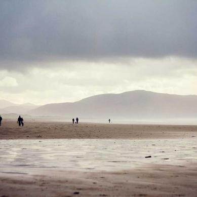 Отзыв пользователя  о ЭКСПЕРТ