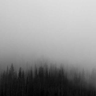 Отзыв пользователя  о ЭКСПЕРТ