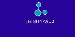 Отзывы о компании Trinity-web.ru - разработка сайтов